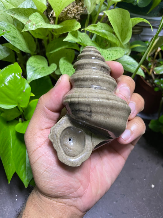 Conch Shell Smoking Pipe-  wet sand