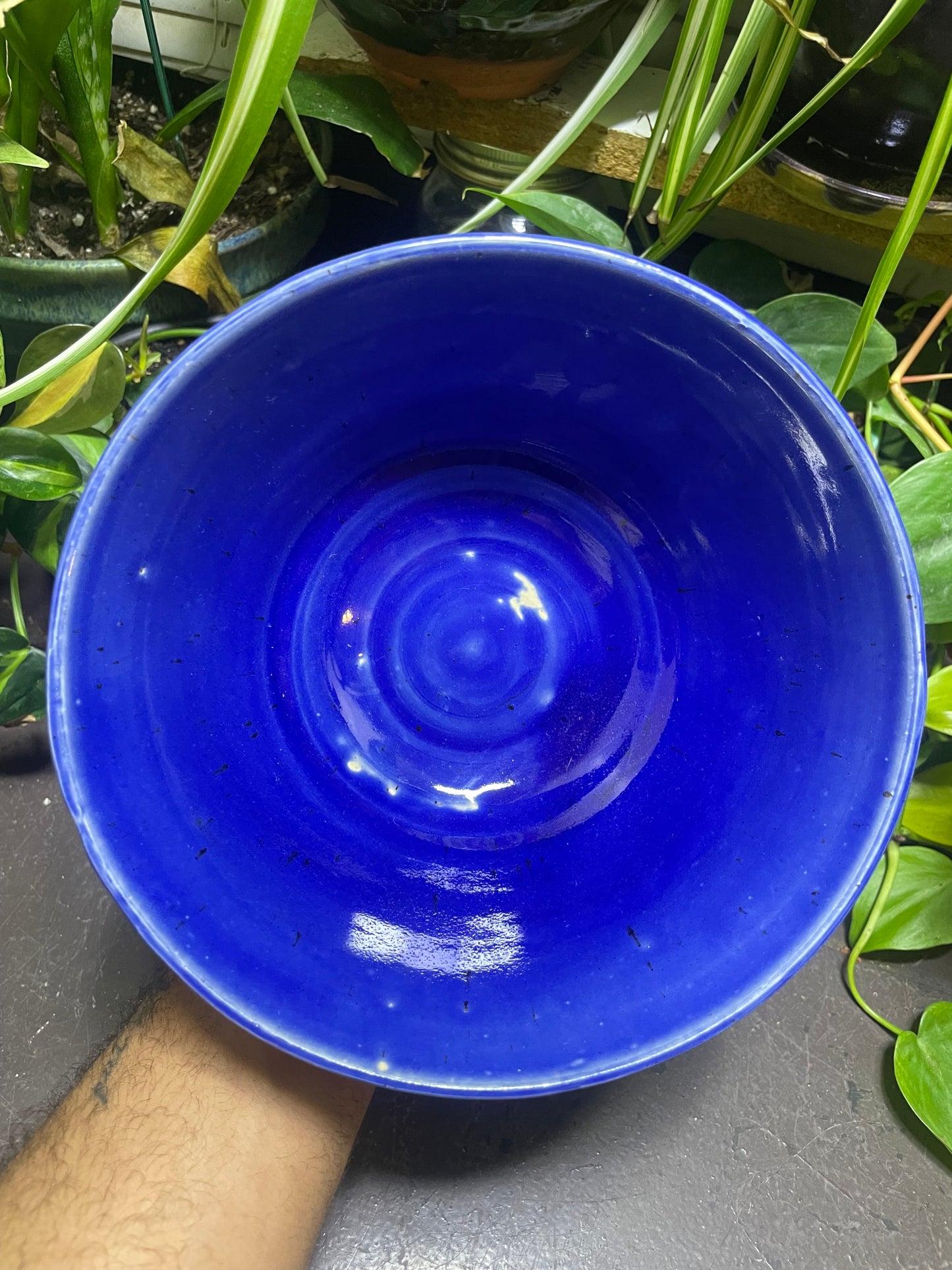 Royal Blue Soup Cereal Bowl Stoneware