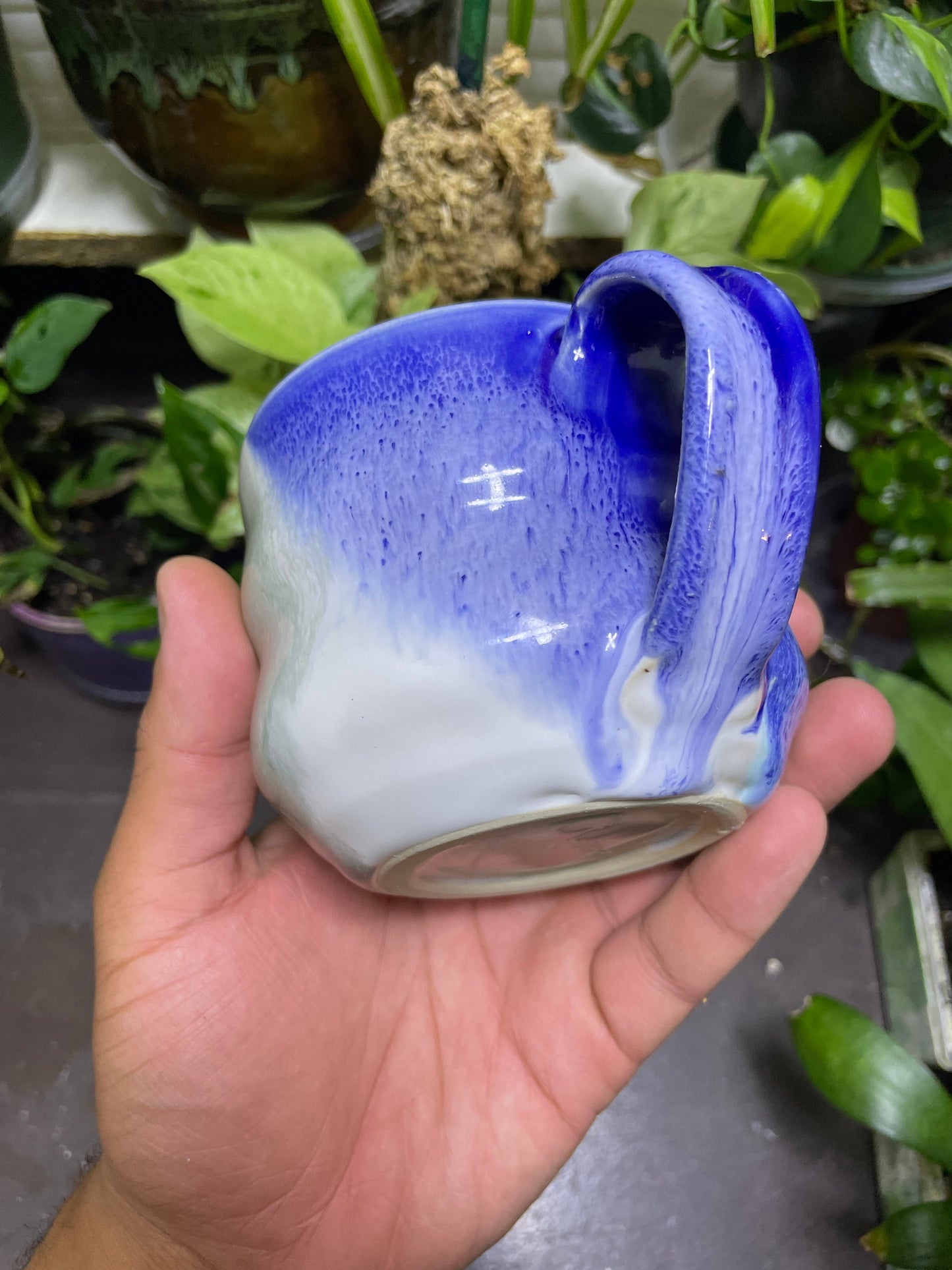 Bellied Blue Cappuccino Mug